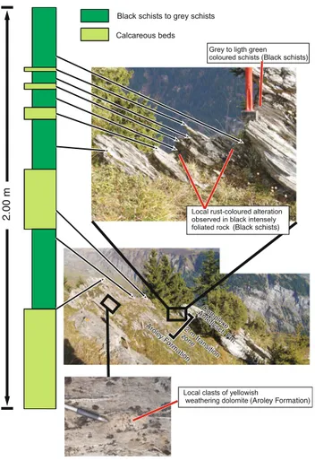 Fig. 5 Detailed profile of the transition zone between de Complexe Ante´flysch Formation and the Aroley Formation, evidencing the stratigraphic nature of this contact