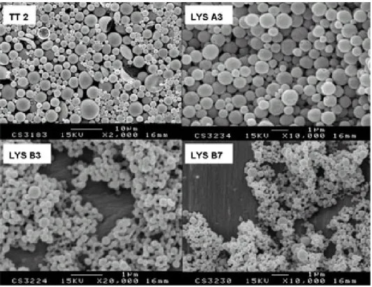 Figure 2. Effect of ultrasound on residual antigenicity of TT dissolved in water as determined by an Elisa assay