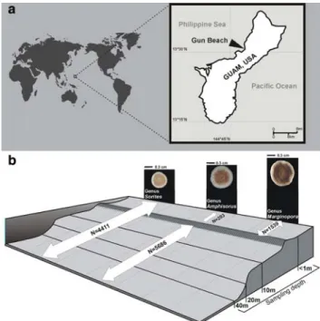 Fig. 1 a Map of Guam (Micronesia), showing the location of the Gun Beach sampling site