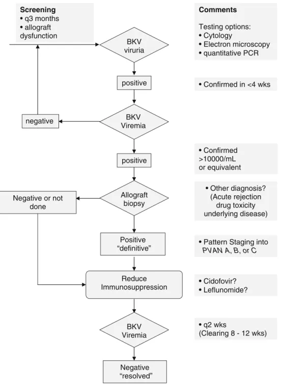 Fig. 1 Screening and treating human polyomavirus type 1 (BKV) replication and disease in kidney transplant