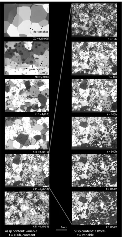 Fig. 1 Microstructural evolution in the experiments.