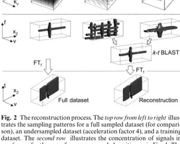 Fig. 1 Typical FVE dataset from a phantom experiment. Phantom consists of solid agarose with two parallel tubes