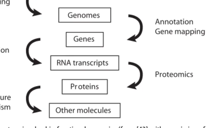 Fig. 1 The steps involved in functional genomics (from [43] with permission of PAREXEL MMS Europe Ltd)