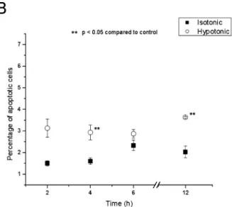 Fig. 5 Monitoring of apoptosis under hypotonic conditions. Hypo- Hypo-tonicity alone does not induce significant apoptosis