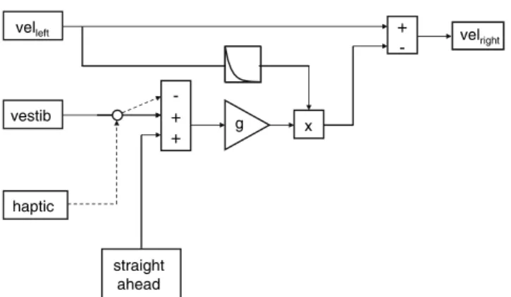 Fig. 5 Model explaining the differential velocity adjustment of the right belt in the presence of cold-water irrigation of the right ear depending on whether the haptic input from the handles is used to indicate the straight-ahead direction