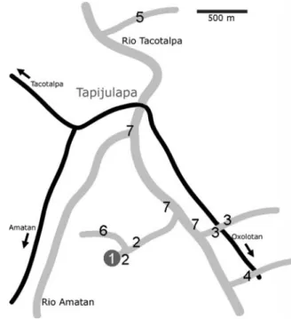 Fig. 1 Schematic view of the watercourses (gray) and collection sites (numbers) around the village of Tapijulapa (Tabasco, Mexico).