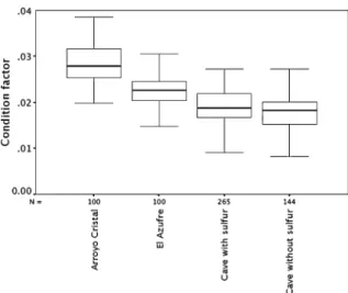 Fig. 2 Condition factors of Poecilia mexicana from diﬀerent habitats. Clear water surface habitat (Arroyo Cristal), sulﬁdic surface creek (El Azufre), cave chambers with sulﬁdic components (cave with sulfur), and rearmost cave chamber XIII without sulﬁde (