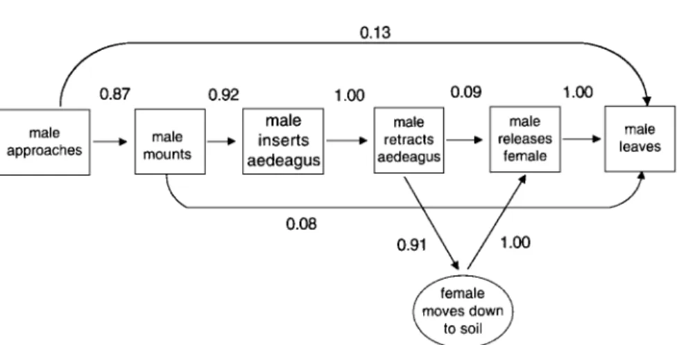 Fig. 5. Kinematic graph of the mating sequence of the oriental beetle showing conditional proba- proba-bilities (values next to arrows) of first-order transition between behavioral states, from Fig