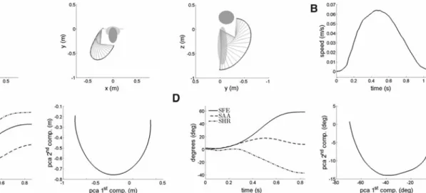 Fig. 1 An example of the curvature of an unconstrained self-oriented movement (the subject was asked to touch his nose)