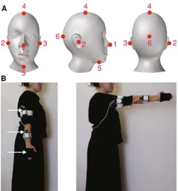 Fig. 5 a Target positions on the head used in our experiment. b Two initial conditions that yield both highly and gently curved movements.