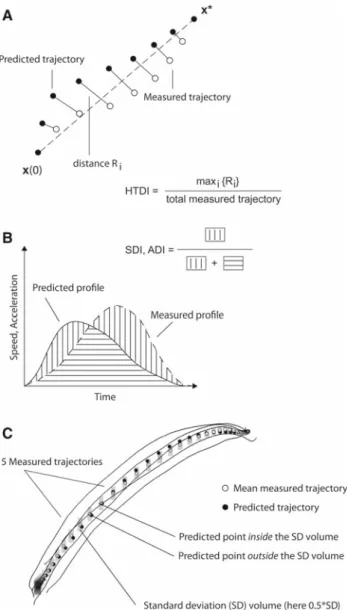 Fig. 6 Definitions of error measures. a The hand trajectory deviation index (HDTI) of measured and predicted hand trajectories is the ratio of the maximum distance, R = max i = 1 ,..., N R i , between the two  tra-jectories matched in time over the total l