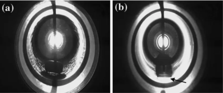Figure 1. Snapshots of phase behaviour of the reaction mixture at 100 C and 150 bar. Added amounts were (a) 0.4 mol% benzyl alcohol, 98.7 mol% CO 2 , 0.9 mol% O 2 (single phase) and (b) the corresponding mixture with 6% O 2 (two phases; the arrow marks the