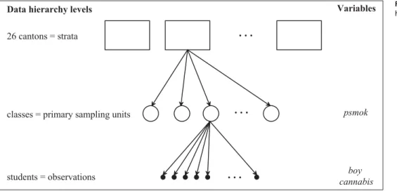 Figure 1  Three-level data  hierarchy of the example survey