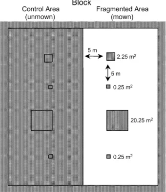 Fig. 1 Layout of one of the 12 blocks that were set up in the ﬁeld in early spring 1993