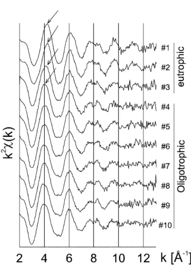 Figure 3. k 2 -weighted EXAFS spectra of sediment samples. Samples #1 to #3 were collected in the eutrophic section, and #4 to #10 in the oligotrophic section.