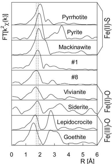 Figure 4. Radial distribution functions (RDFs) of the samples #1 and #8 compared with representative reference compounds.
