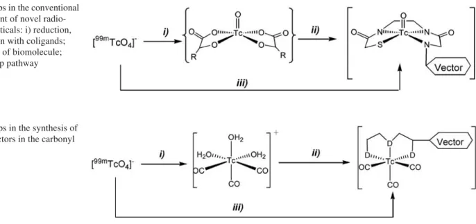 Fig. 2. Steps in the synthesis of labeled vectors in the carbonyl approach