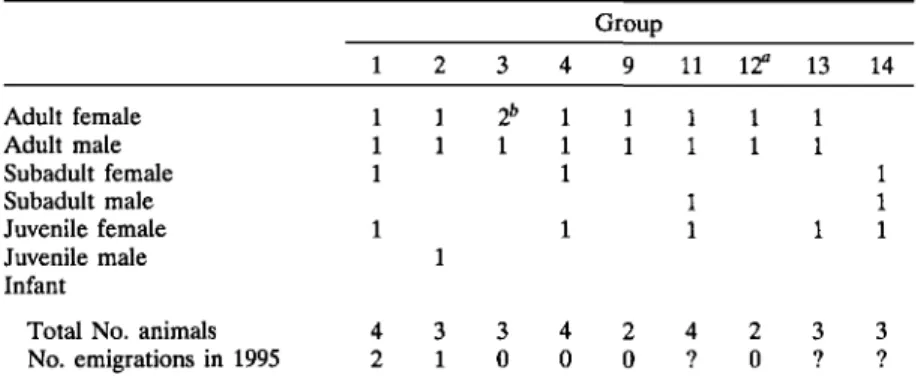 Table I. Group Composition in Eulemur mongoz for Groups for Which Group Size Was Known at Anjamena in September 1995
