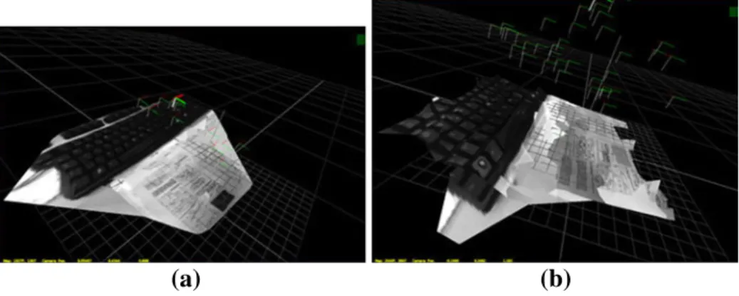 Figure 8 shows two versions of the final textured 3D mesh. In Fig. 8a we used a low resolution undistorted image in order to save memory whereas in Fig