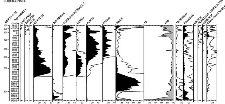 Fig. 10 Pollen percentage diagram of selected trees and shrubs for Lobsigensee (source: Ammann 1989)