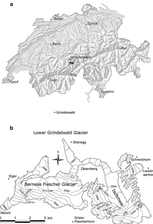Fig. 1 a The Grindelwald region (area with solid outline) within Switzerland. b Map showing some remarkable locations, mountain peaks and the topography of the Lower Grindelwald Glacier with its main branches and tributaries