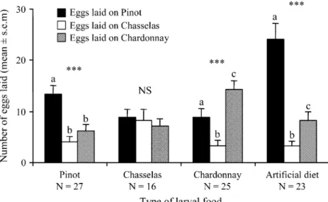 Fig. 2). The same result was observed for females exposed to grapes only as pupae and while emerging larvae: Pinot received more eggs than the two other cultivars (Table 2, adults exposed to grapes as pupae and while emerging;