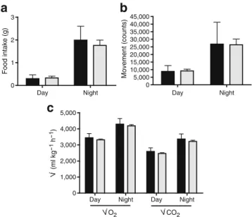 Fig. 7 Murine TIMP1 does not affect central energy regulation.