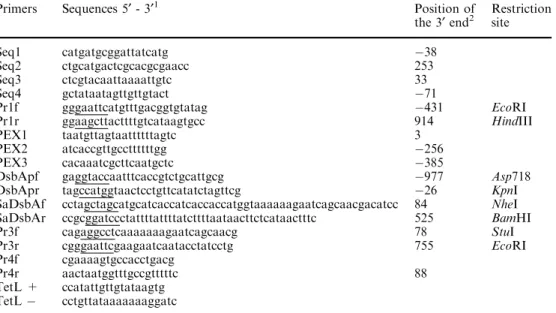 Table 2 Primers