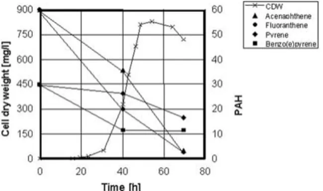 Figure 1. Degradation of 4 PAH compounds (acenaphthene and fluoranthene 60 mg/l, pyrene and benzo[e]pyrene 30 mg/l) dissolved in 750 mg hexadecane as the main carbon and energy source and 25 mg/l of the emulsifier ET 5