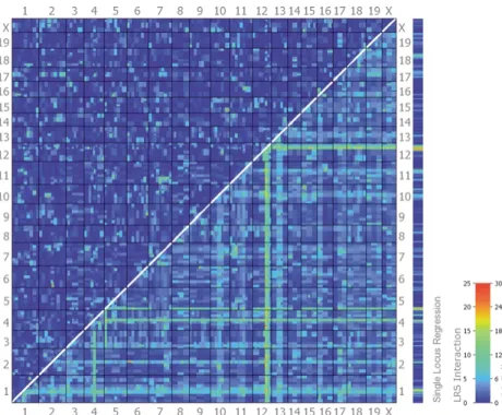 Fig. 4. Whole-genome-wide pairwise scanning of epistatic genes influencing gene expression of insulin 1 (Ins1) on Chr 19 (at 51.83 Mb) using mouse BXD recombinant inbred line data from INIA Brain mRNA M430 PDNN database of WebQTL (trait ID: 1422447_at_A)