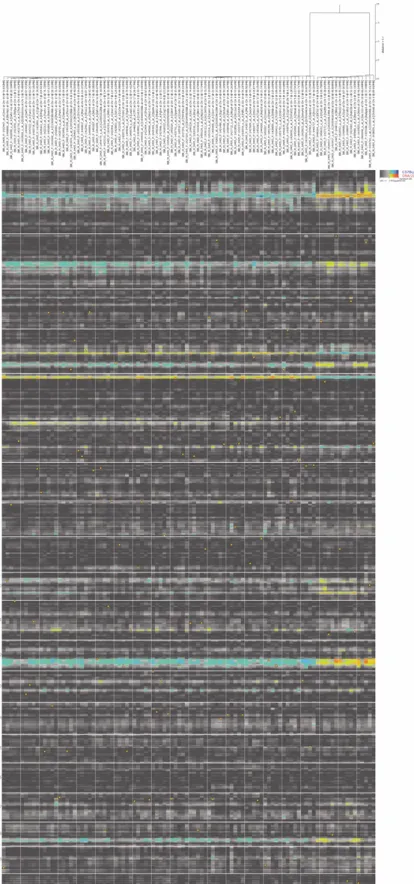 Fig. 3. Global display of linkage clusters. The x axis shows the 100 most correlated genes based on their expression phenotypes in a hierarchical cluster tree.