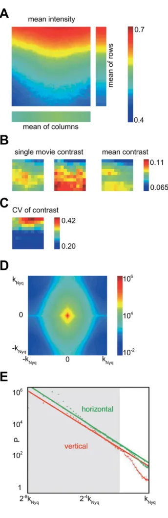 Fig. 2. Instantaneous contrast statistics. a Luminance in the central image region (200  200 pixels) averaged over the whole database is color coded