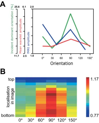 Fig. 3. Instantaneous wavelet statistics. a The mean wavelet ampli- ampli-tude is demonstrated (red) for the six diﬀerent orientations (0  denotes the vertical orientation) averaged over the complete database