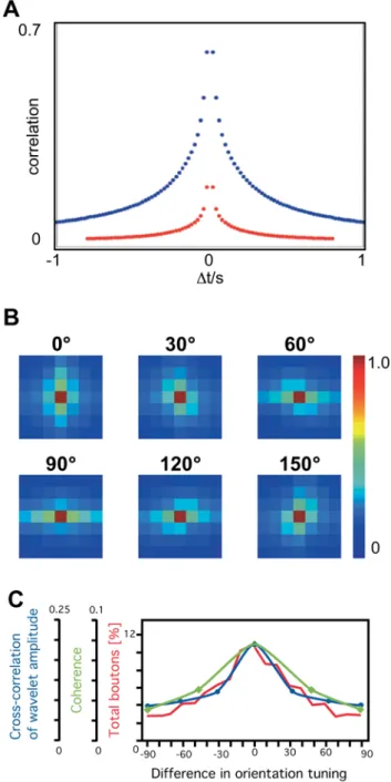 Fig. 4. Temporal statistics. a The spatiotemporal correlation function for the wavelet amplitudes and phases is displayed