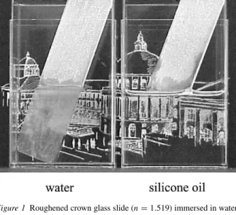 Figure 1 Roughened crown glass slide (n = 1 . 519) immersed in water (n = 1 . 333) and silicone oil (n = 1 