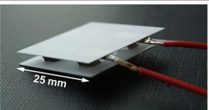 Fig. 1. Photo of a four-leg thermoelectric oxide module.