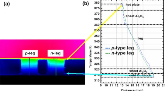 Figure 5a shows the temperature distribution in the module acquired with the micro-IR camera