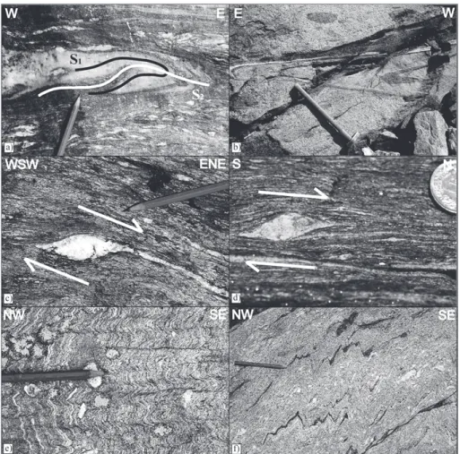 Fig. 9. Deformation patterns produced during D 1 , D 2 , D 3 and D 4 . a) D 1 isoclinal fold,  over-printed isoclinally and coaxially by a D 2 fold, in a calc-micaschist of the Bedretto Zone (near Garzonera, 689’604/140’770)