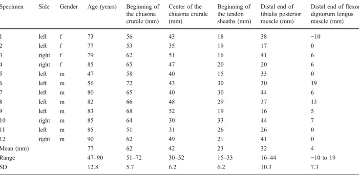 Table 2 Cross-sectional area of the tendons at different locations around the chiasma crurale