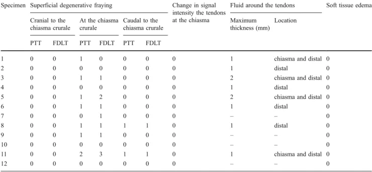 Table 3 Degenerative changes at the chiasma crurale as seen on MR imaging. Superficial tendon fraying: 0 none, 1 mild, 2 moderate, 3 severe.