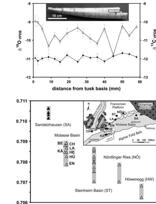 Fig. 5 Sr isotope compositions of enamel from fossil mammal teeth from Miocene localities in southern Germany and Switzerland