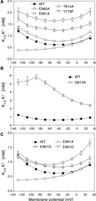 Fig. 2. Apparent aﬃnity for K + in the absence of extracellular Na + . (A, B) Potassium half-activation constant (K 1/2 K + )  mea-sured in the absence of extracellular Na + for wild-type (WT) and mutant a-subunits