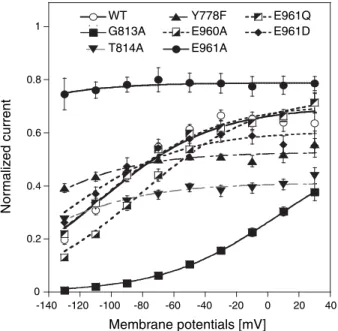 Fig. 4. Voltage-dependent inhibition of pump currents by extracellular Na + . The pump current activated by addition of 1 m M K + to a previously K + -free solution was ﬁrst recorded without extracellular Na + and then in the presence of 100 m M extracellu