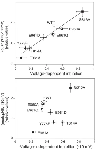 Fig. 5. Acidic pH-activated, ouabain-sensitive pump currents. The Na,K pump current activated by 5 m M K + in Na + -free solution was ﬁrst measured, then the pH of the solution was changed to 6.0 and I-V curves were recorded before and after addition of 2 