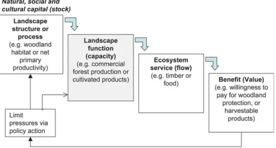 Fig. 1 Conceptual framework for analyzing landscape functions (redrawn and adapted from Haines-Young and Potschin 2009)