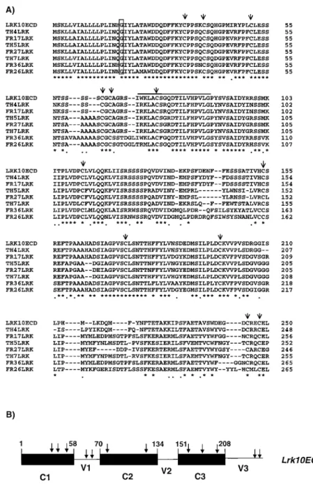 Figure 5. A. Amino acid sequence comparison of the extracellular domains of 8 different members of the WLRK gene family