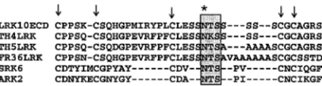 Figure 6. Comparison of amino acid sequences encoded by the wlrk gene family from wheat and two S-domain containing genes from Brassica [9, 37]