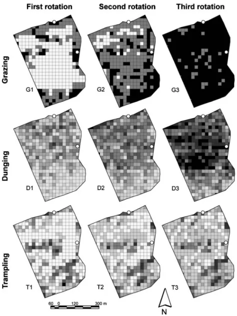 Figure 2. Maps of three types of cattle eﬀects after each of three rotations. The paddock is subdivided into 393 cells