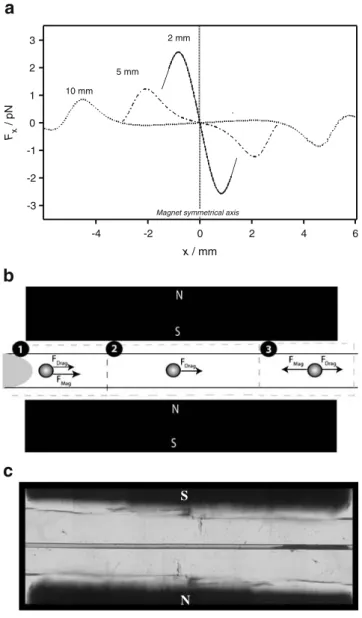 Figure 4 presents the isovalues of the magnetic field distribution (y component) obtained by numerical  simula-tions