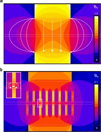Figure 5 shows the magnetic force distribution and the bead capture along the microchannel